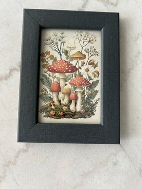 Mushroom Botanical Print in Grey Frame